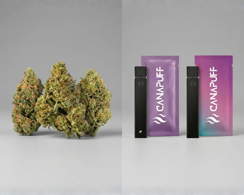 THCa Flower vs THCa Vapes: Which Should You Choose?