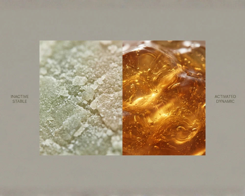 THCa vs THC: What's the Difference?
