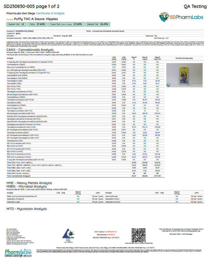 PUFFY 4.5G - Hippiez (Hybrid)