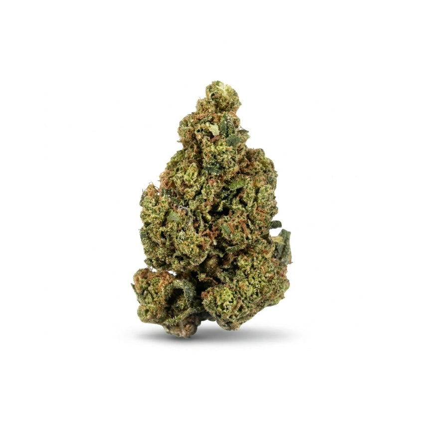 Sour Tangie THCa Flower (Indoor) (Sativa Hybrid)