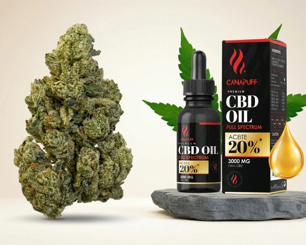 Hemp Flower vs CBD: What's the Difference for Wellness?