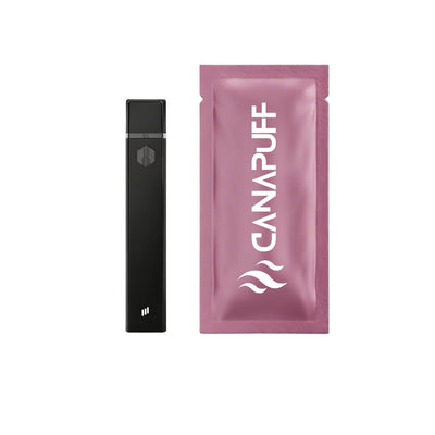 Berry ZKZ Belts THCp Disposable Vape (Hybrid) (1 gram)