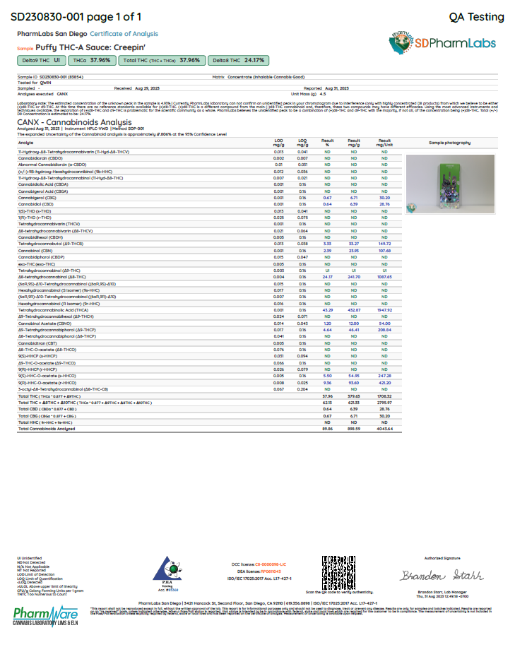 PUFFY 4.5G - Creepin' (Hybrid)