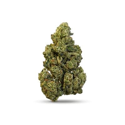 Gorilla Glue THCa Flower (Greenhouse) (Indica Hybrid)